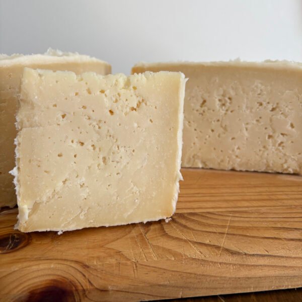 queso de tomelloso curado en maneca